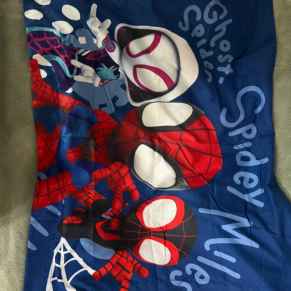 Spidey and his amazing friends twin size sheet set